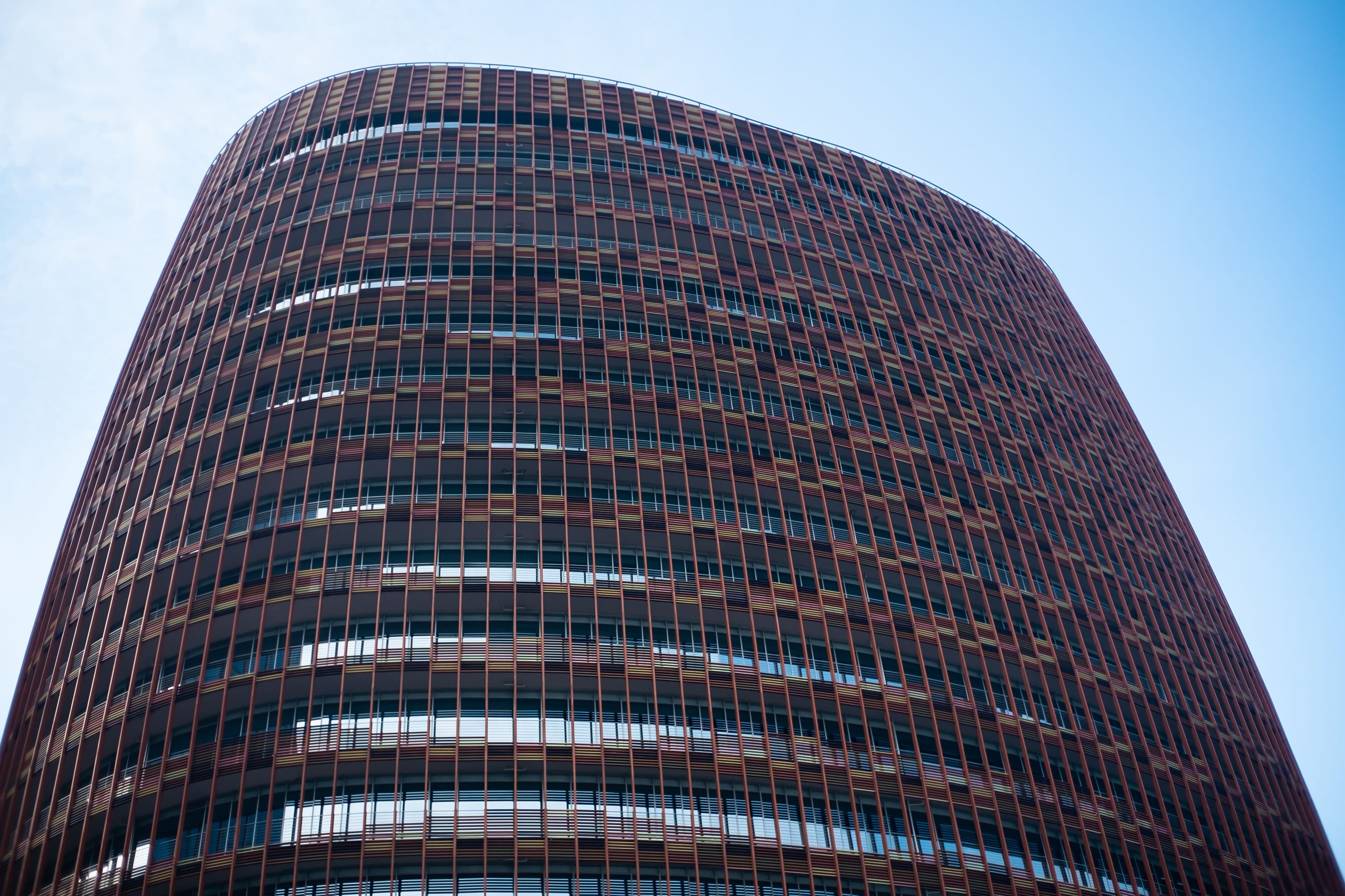 Why Law and Accounting Firms Outgrow Their MSP Faster Than Other Sectors